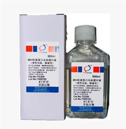 20×快速蛋白電泳緩沖液（變性電泳，溶液型）